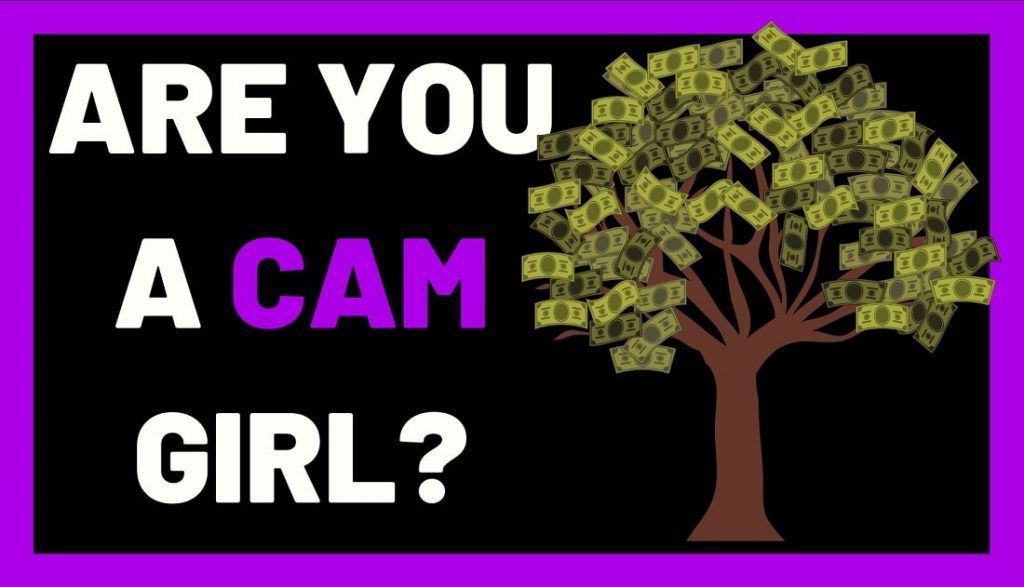 a tree with money on the leaves