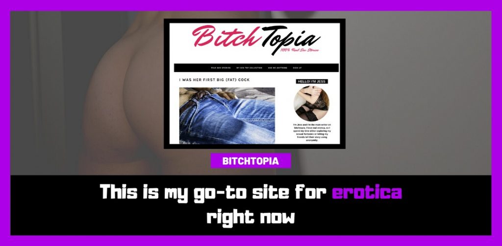 screenshot of the blog bitchtopia